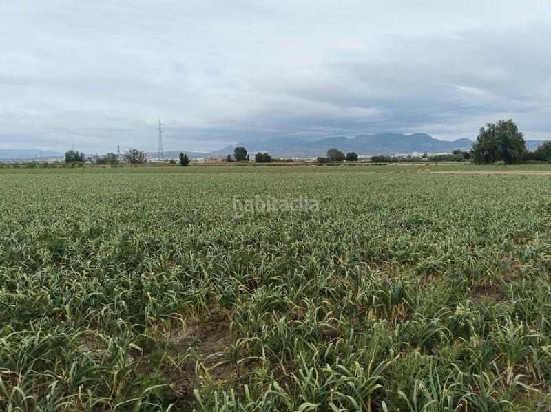 Foto 0177a5d5-3e62-4fe9-99af-ca380105c05e. Rural plot in Purchil Vegas del Genil