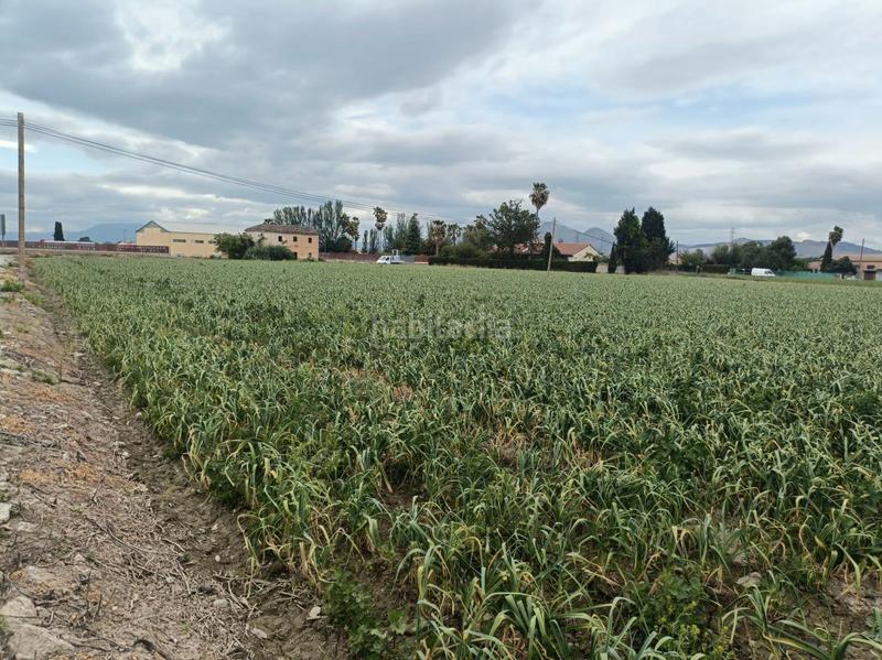 Foto 392751c9-c55d-459d-8bff-a551be3d0cfa. Rural plot in Purchil Vegas del Genil