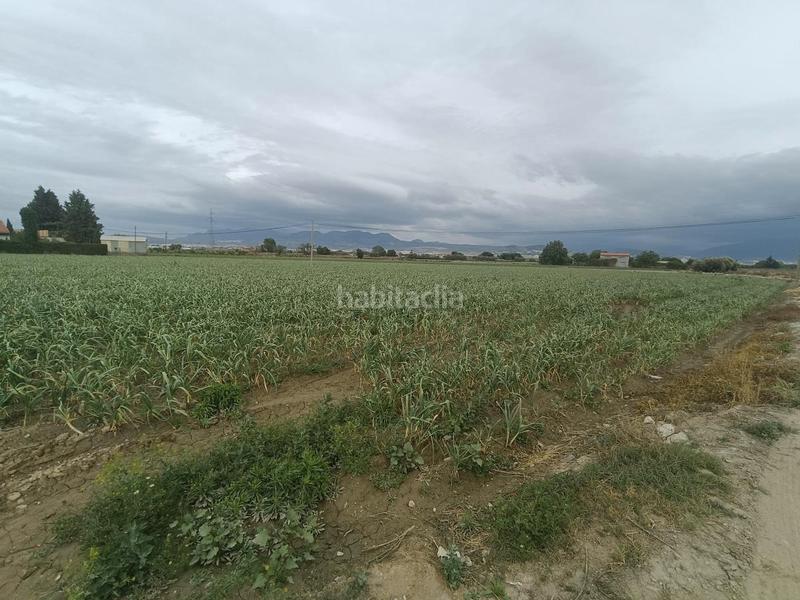 Foto 4f20627f-fb87-4545-a03b-796f60dfb238. Rural plot in Purchil Vegas del Genil