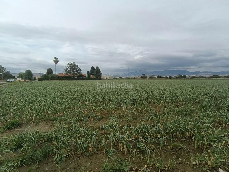 Foto 5e61768e-c4b4-4ec5-9e68-b72038141cf1. Rural plot in Purchil Vegas del Genil
