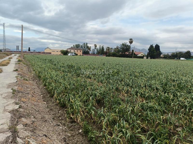 Foto 7720f435-3b5c-43b2-83ad-f0105048bea9. Rural plot in Purchil Vegas del Genil