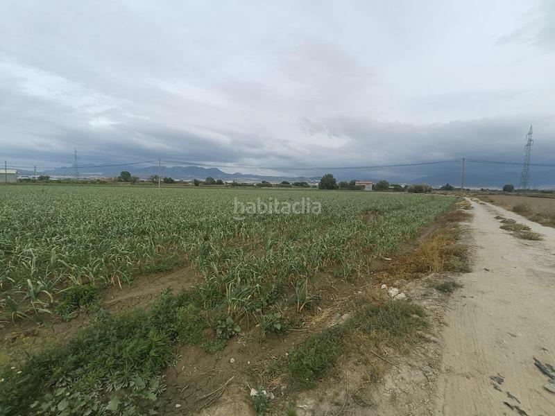 Foto 9f0a4102-1eea-48db-ad27-00d2378f2368. Rural plot in Purchil Vegas del Genil