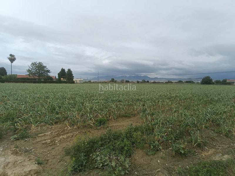 Foto d864897d-d6a5-4ed0-8549-cda43831ca6e. Rural plot in Purchil Vegas del Genil