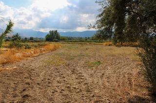 Landgut in Villa de Otura