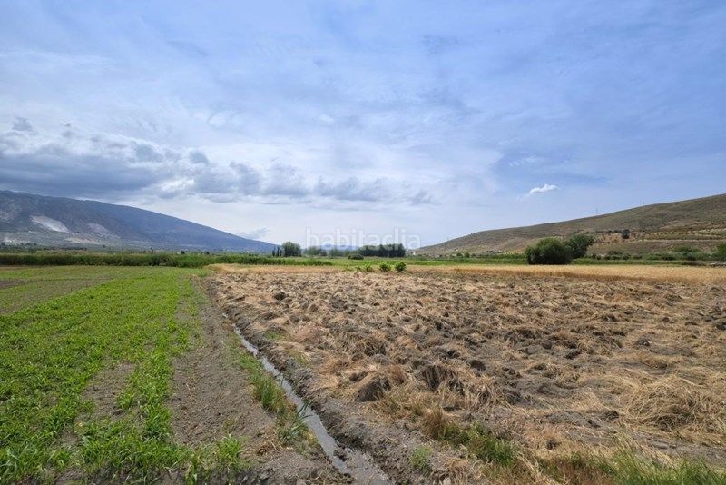 Foto 145a5fb3-4b96-404a-a200-018cae1ddb0d. Finca rústica a Albolote