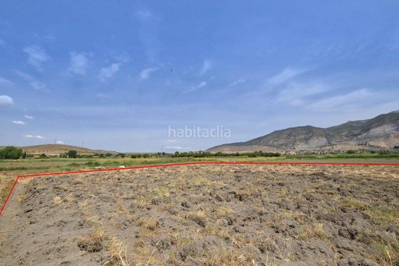 Foto 8b41fa9c-294e-48cb-b4b8-be6adb84865b. Finca rústica a Albolote