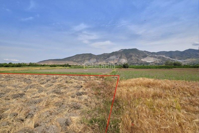 Foto 98261c8a-0309-4911-ba03-e08a6fb312f5. Finca rústica a Albolote