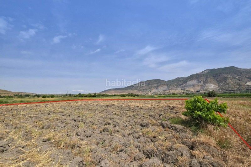 Foto de9b8c42-882d-490b-b639-dfa94ca016b5. Finca rústica a Albolote