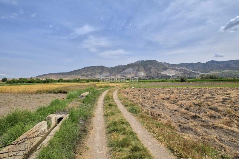 Foto f1d7d68a-97d2-4b94-936c-bc8d4545d6ee. Finca rústica a Albolote