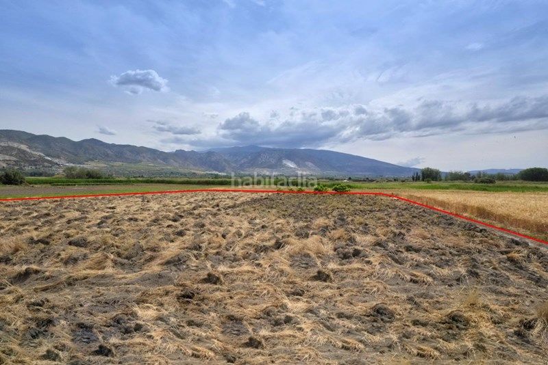 Foto f5fe0855-7395-484c-ac50-a21beca9f425. Finca rústica a Albolote