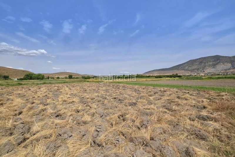 Foto f9086e43-eeeb-4d26-be9e-d3509a73e5d4. Finca rústica a Albolote