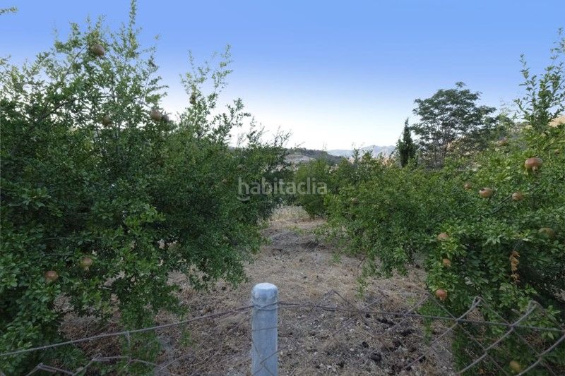 Foto 4c82ab9f-caef-4af7-b046-d1203b99589e. Finca rústica a callejon del diablo 2 a Villamena