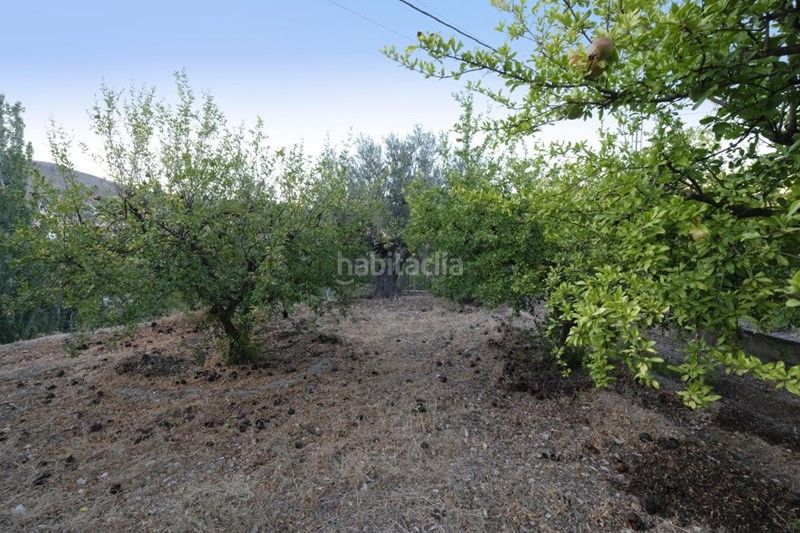 Foto 57c4a000-ede8-415d-81fc-cdc43272fd2c. Finca rústica a callejon del diablo 2 a Villamena