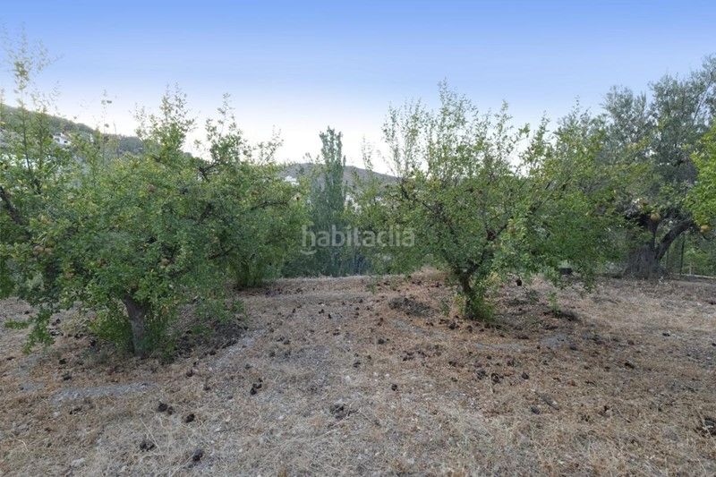 Foto 98b0fc01-cd59-4aa9-a1ef-f8e5fc76cba1. Finca rústica a callejon del diablo 2 a Villamena