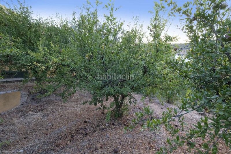 Foto d0d74796-c50a-4fb9-b7ed-61142a7cd5aa. Finca rústica a callejon del diablo 2 a Villamena