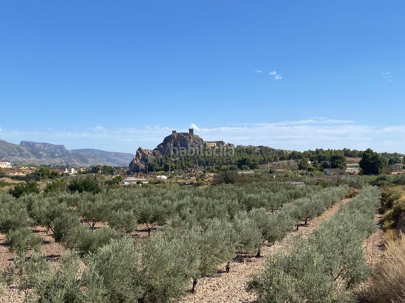 Foto 5c8d53ff-f6b8-4575-98a9-c0860d768d32. Casa amb calefacció aparcament piscina a Sax