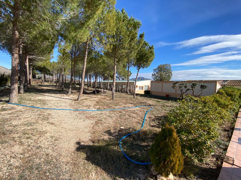 Foto 1e42e110-7f60-4515-bfde-83ab2ba230fd. Casa amb aparcament piscina a Salinas