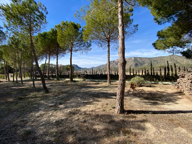 Foto 8d228164-53f5-4096-89a4-494357ae8dbd. Casa amb aparcament piscina a Salinas