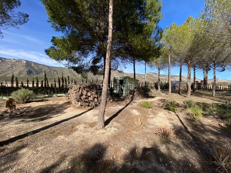 Foto f8a77cb9-871d-467f-8ac3-246497c5d9ef. Casa amb aparcament piscina a Salinas