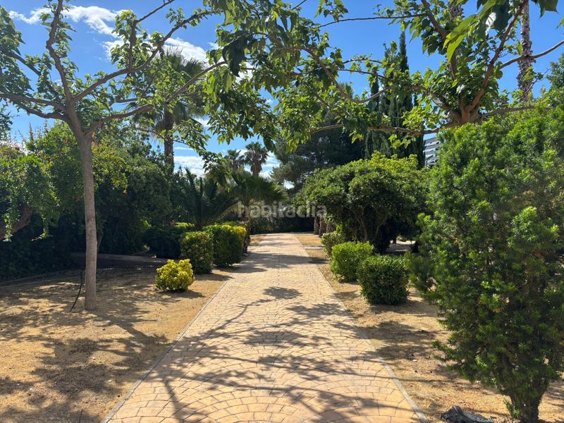 Foto ea4d8cee-101a-4e6f-9bc6-73bc0a218f3f. Casa amb piscina a Sax