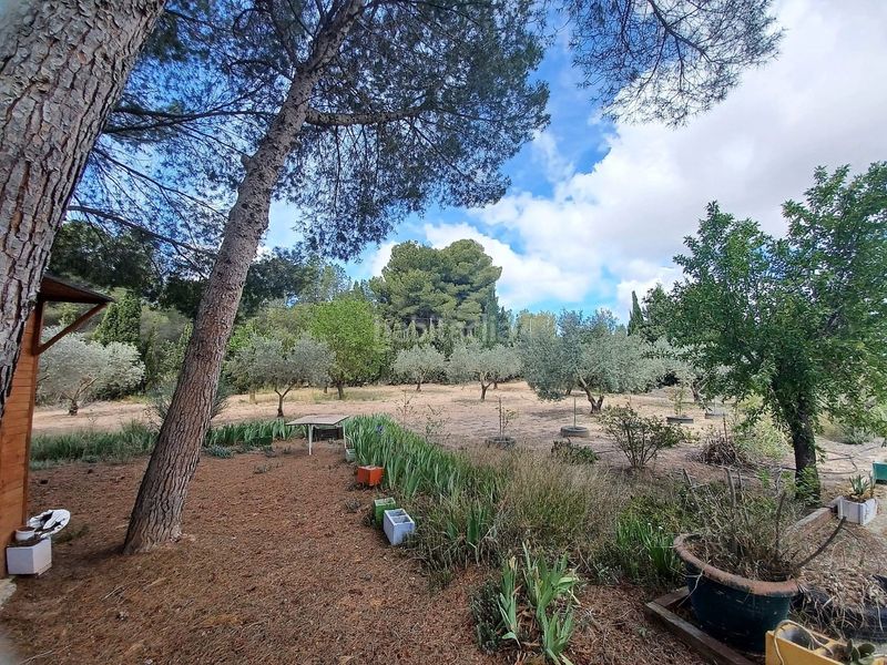 Foto ace4e183-97d4-43ab-983e-d86f4ed7c771. Casa amb piscina a Sax
