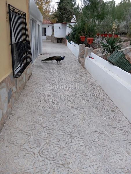 Foto e24d68c2-0417-4316-be13-345442d4a2a7. Casa amb piscina a Sax