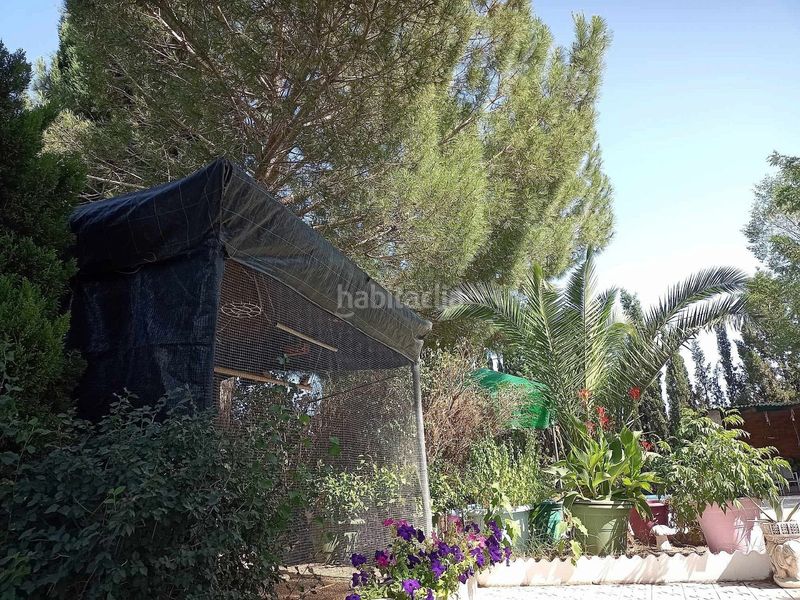 Foto fb1a678b-f8d0-4834-8676-368ad281ca3e. Casa amb piscina a Sax