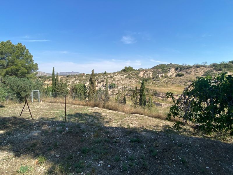 Foto 20c58412-af64-4c5c-96ef-f8af6ae1dbc6. Casa amb aparcament piscina a Petrer