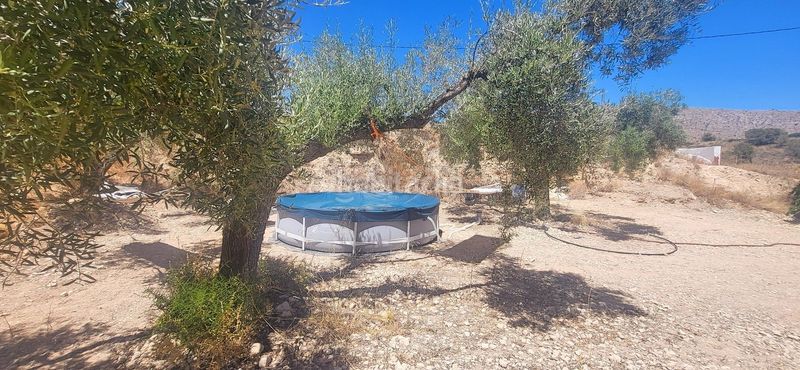 Foto 1f3d43e9-02b5-4a45-b119-e7ebeb1d7e2d. Casa a Romana (la)