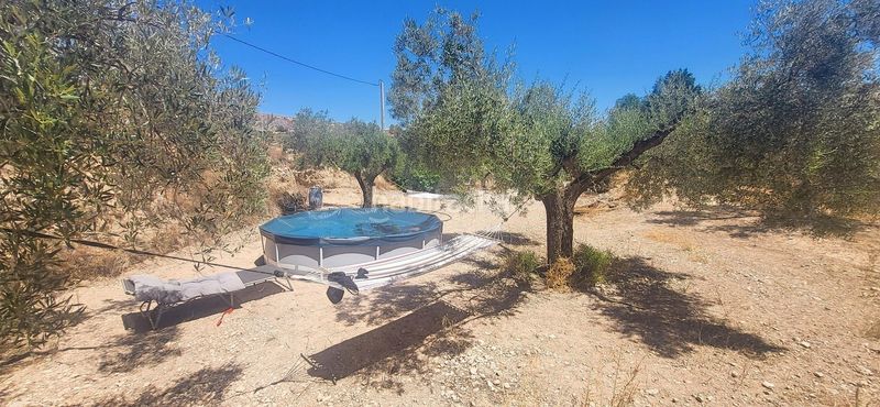 Foto eec9f8b8-cd40-4b2b-bccd-87b780984c45. Casa a Romana (la)