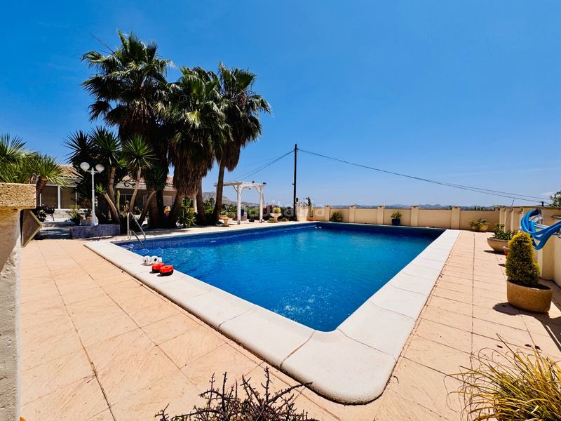 Foto ce43df7e-1959-4174-946f-8183b60c42cb. Masia amb piscina a Pedanías Oeste Aspe