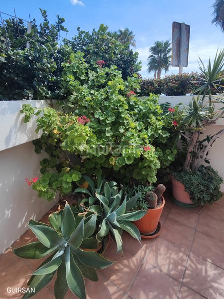 Foto 866ef3a0-143f-4b1a-ac27-53f58843ab2d. Location rez-de-chaussée avec chauffage dans Cotobro Almuñécar