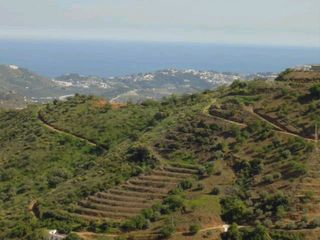 Finca rústica a Diseminado Matachinas Pol 12
