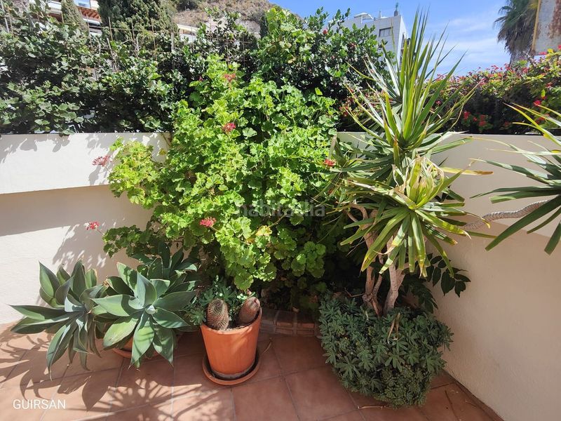 Foto 97f5fc3e-3e5e-427f-b8d3-67f9a3c4f150. Rent flat with parking in Cotobro Almuñécar