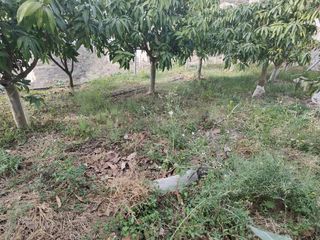 Finca rústica a Itrabo