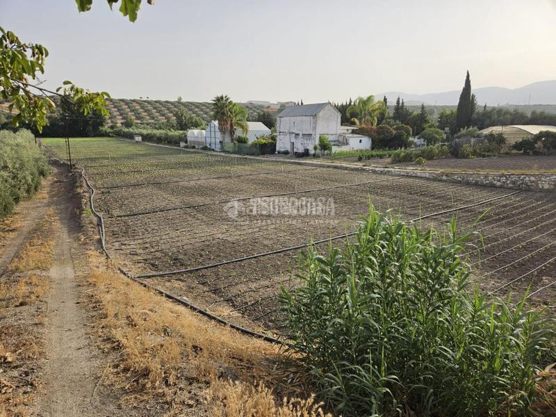 Foto 19aa02ce-763f-45f9-88d9-b5158303aee7. Rural plot in Cabra