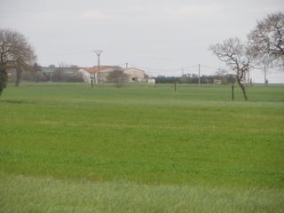 Finca rústica a Calle usera 50. Parcela rústica de 36.111m2 en langre muy llana, con acceso por