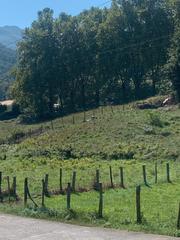 Finca rústica en Barrio riancho 3. Terreno urbanizable de 2.035m2 con bonitas vistas a la montaña j