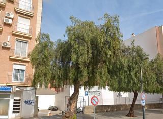 Terreny residencial  Calle azorín