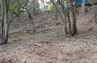 Terreny residencial a Passatge de Sant Miquel