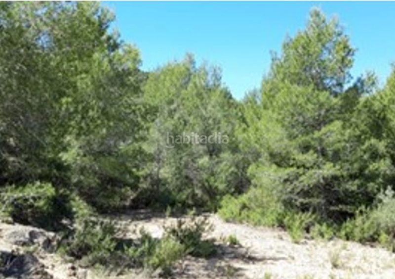 Foto 6ae32fef-0e83-49da-a831-70250a0d9997. Finca rústica a Vilamarxant