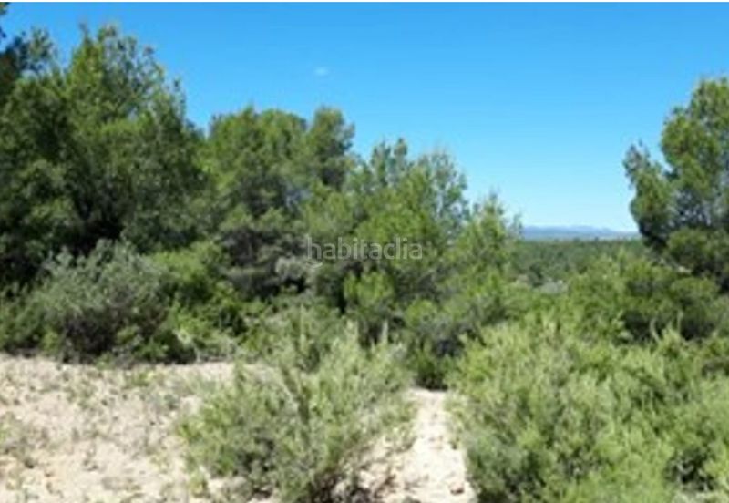 Foto b82b0a14-7316-4a56-a527-c568aca59d46. Finca rústica a Vilamarxant