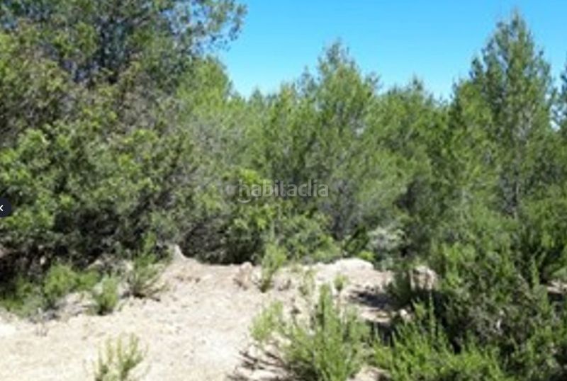 Foto bf90021a-2b37-4ca0-8f9a-5eccef287e48. Finca rústica a Vilamarxant