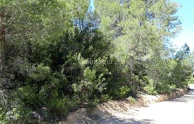 Foto f28d6601-c11f-4c92-a2af-861b52308947. Finca rústica a Vilamarxant