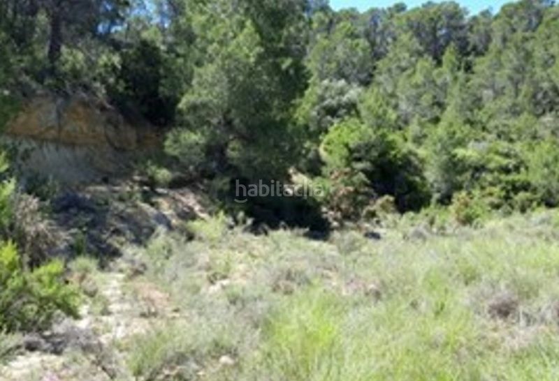 Foto f8df2d82-07c4-4ba5-aaa0-2d3099f51603. Finca rústica a Vilamarxant
