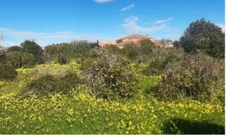 Finca rústica  Avinguda país valencià 87. Procedente de banco