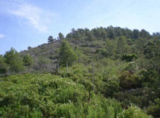 Finca rústica en Alcossebre