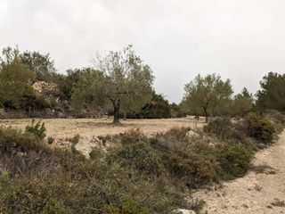 Finca rústica a Yátova