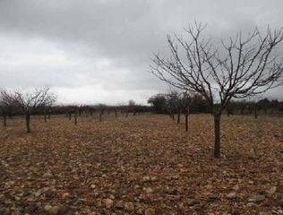 Fondo rustico in Covarrubias