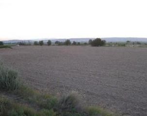 Finca rústica a Fuentes de Ebro